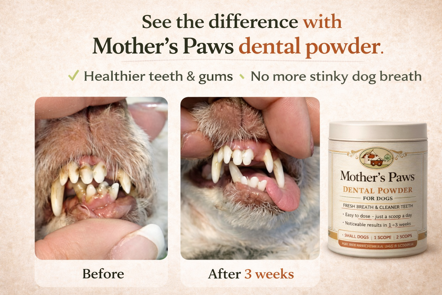 Mother's Paws Dental Powder®